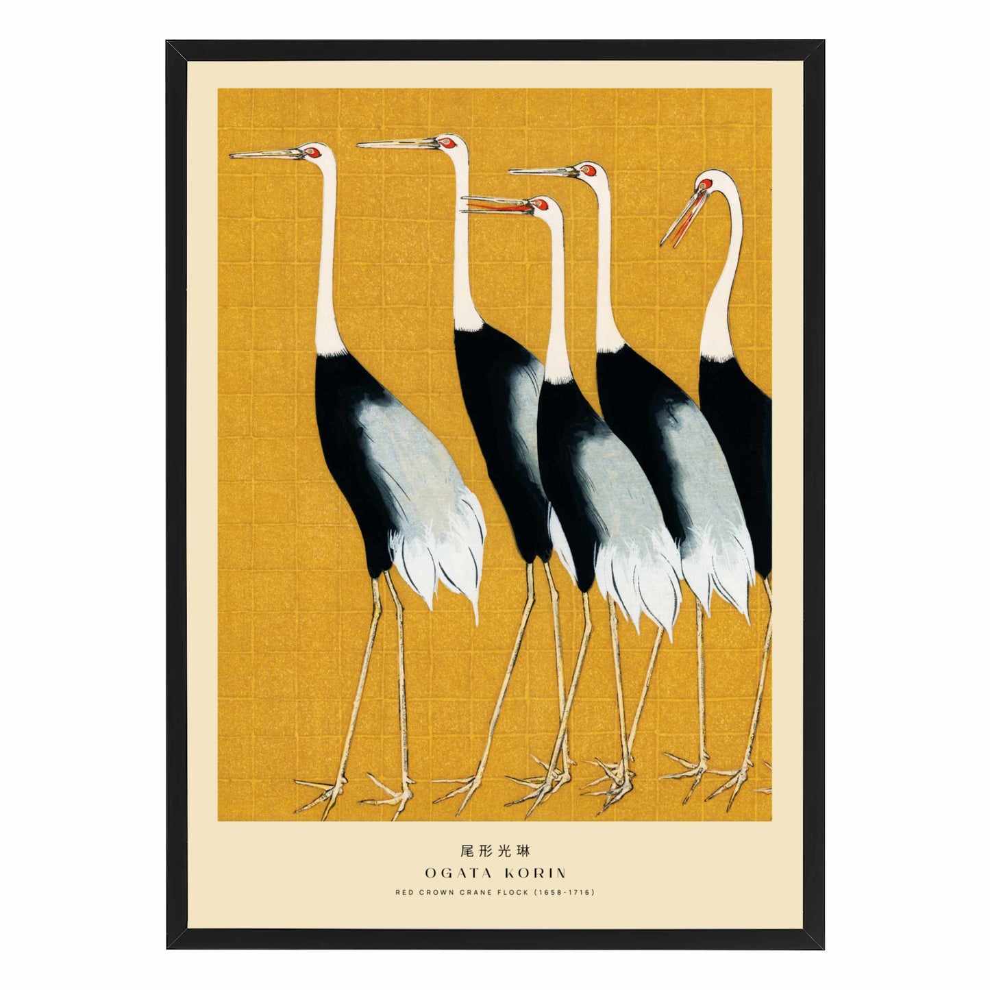 Red-Crowned Cranes