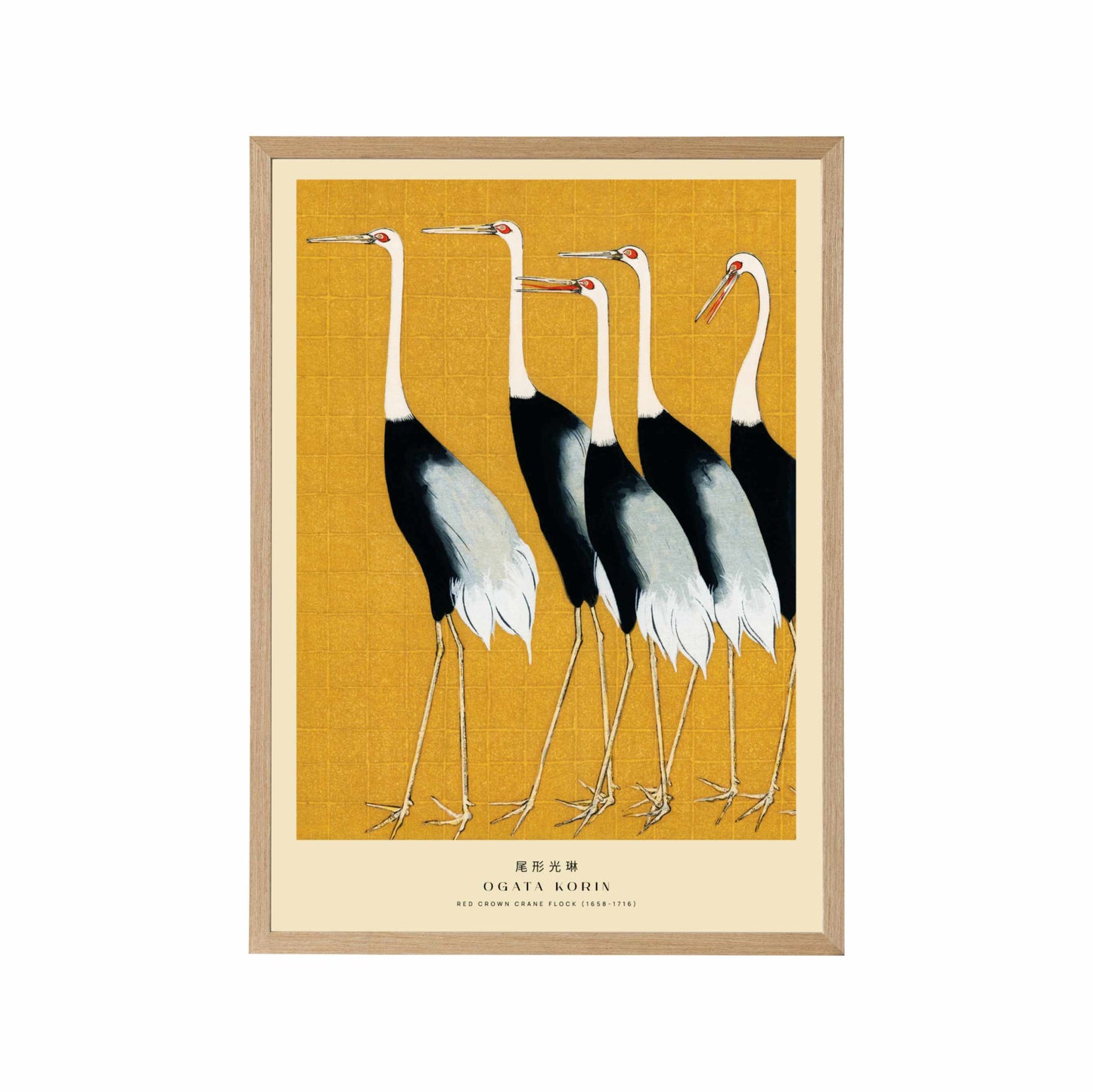 Red-Crowned Cranes