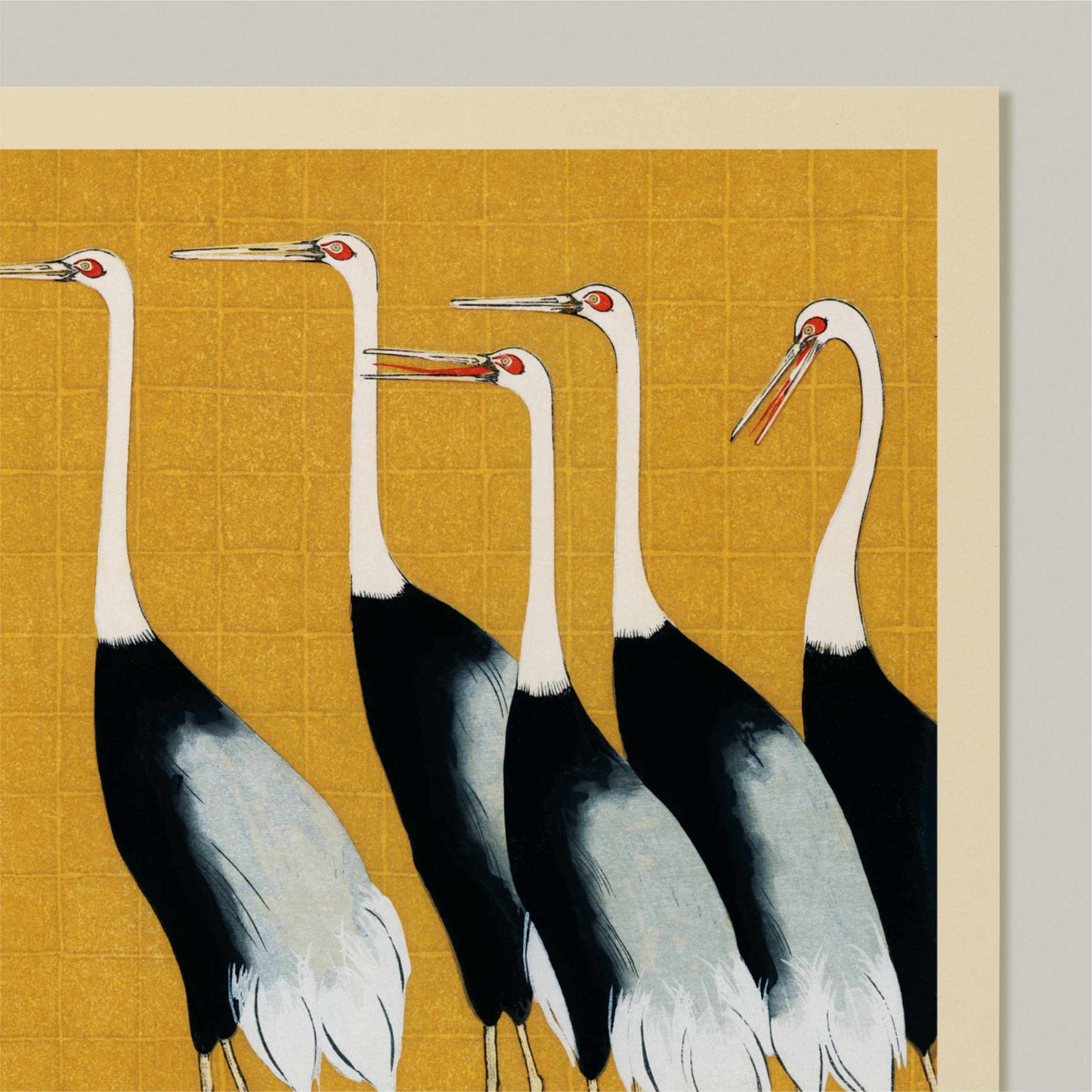 Red-Crowned Cranes
