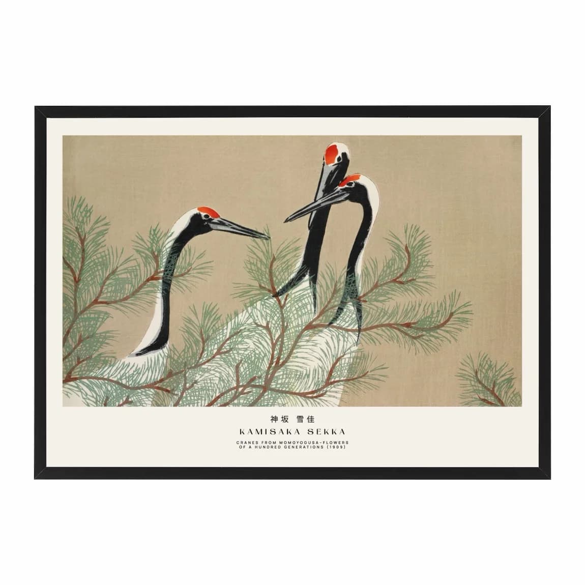 Cranes From Momoyogusa