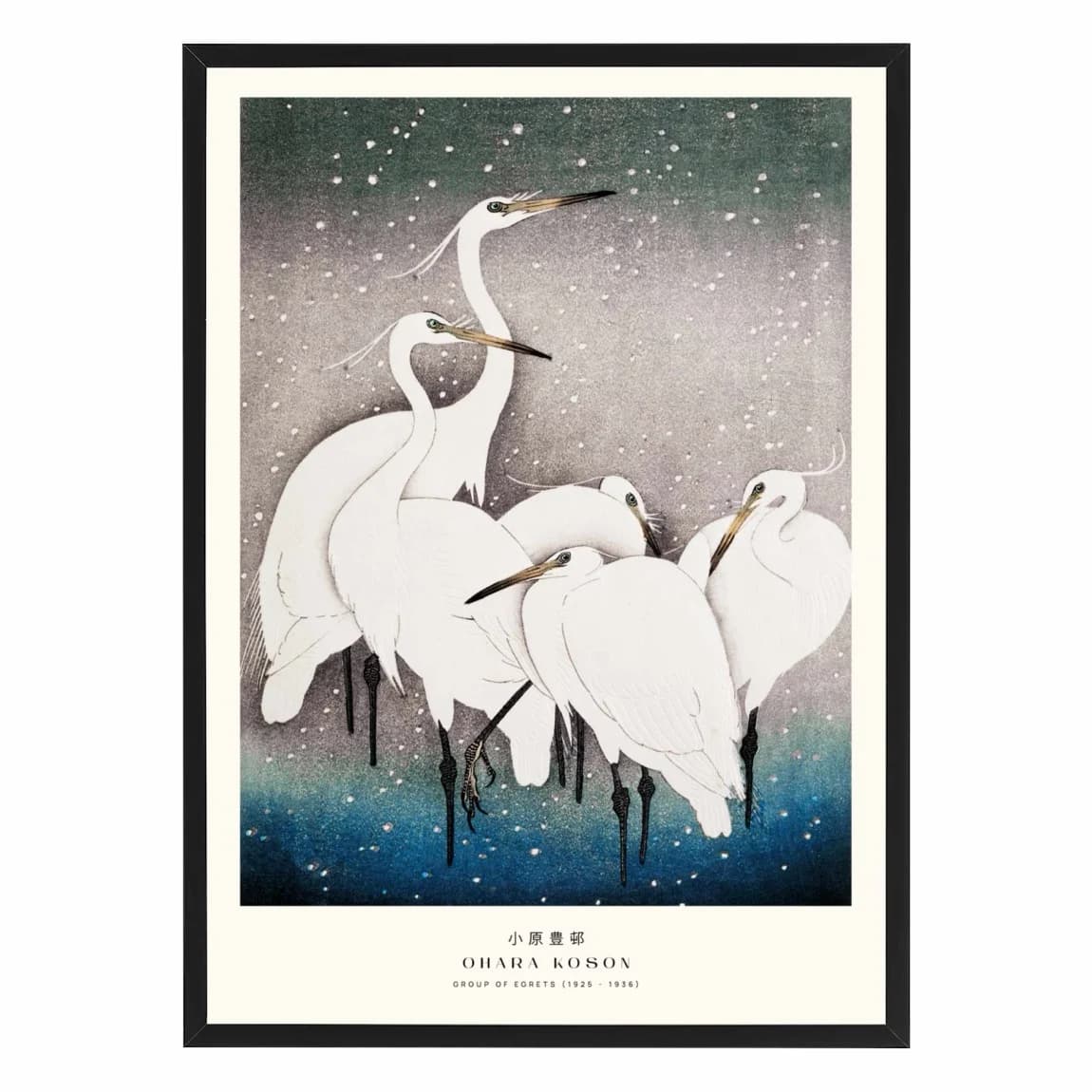 Snowy Herons