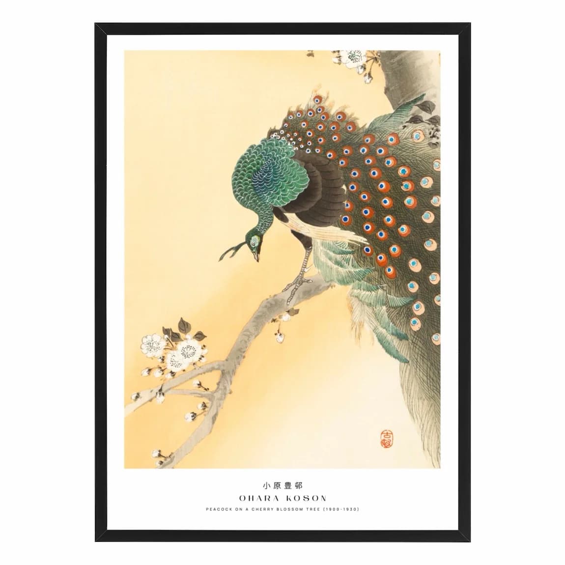 Peacock & Cherry Blossom