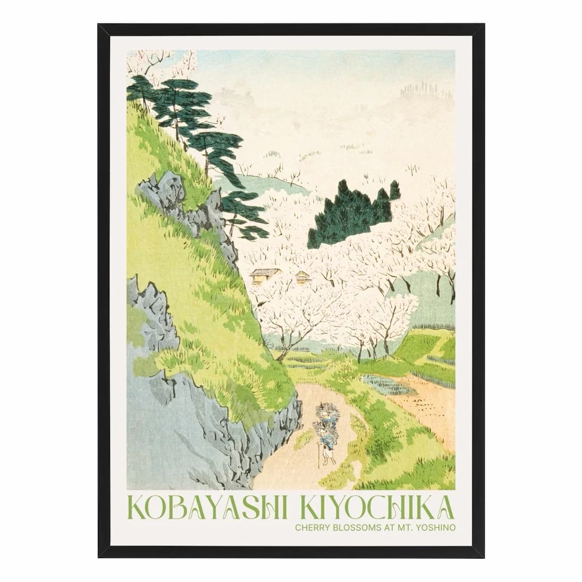 Cherry Blossoms at Mt. Yoshino