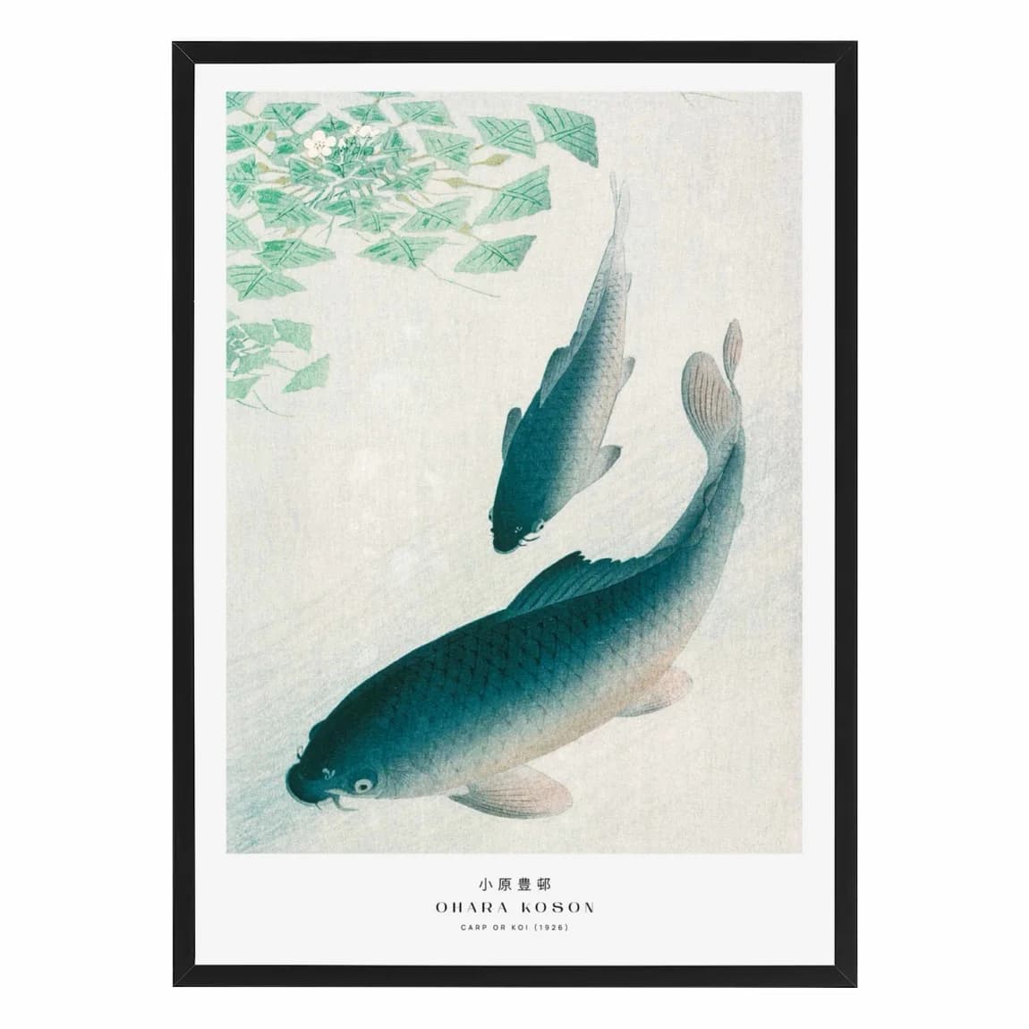 Koi Fish