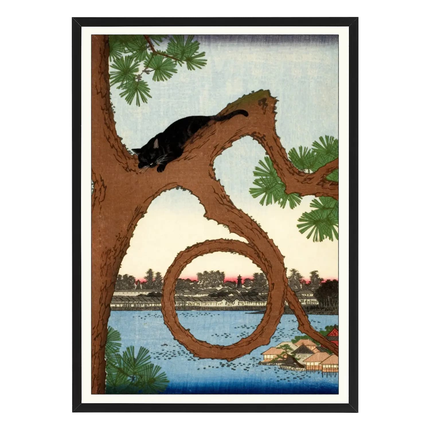 Sleeping Cat on the Moon Pine