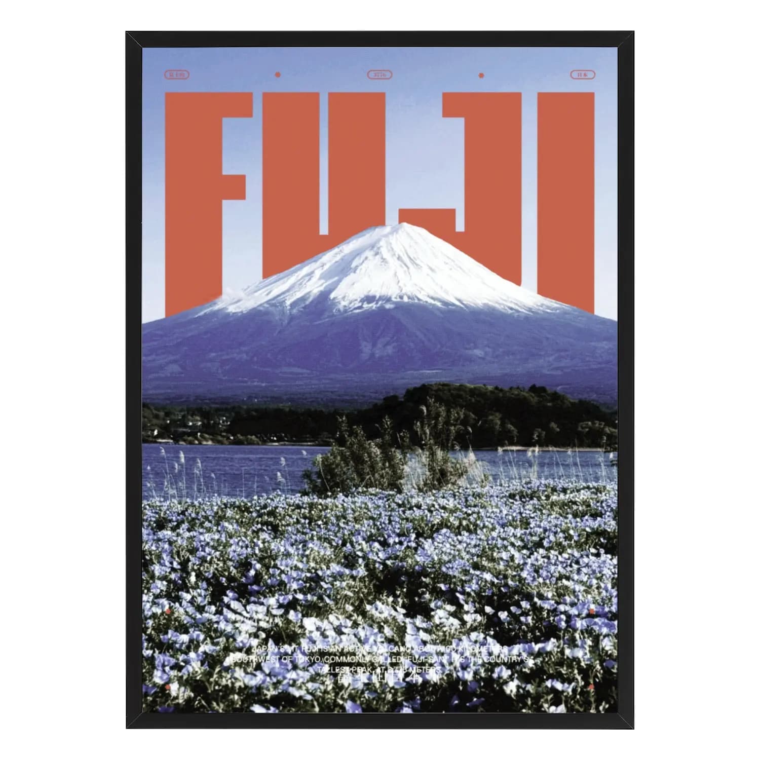 Fuji through the Sea of Flowers