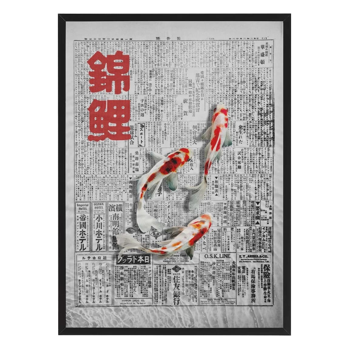 Nishikigoi Newspaper