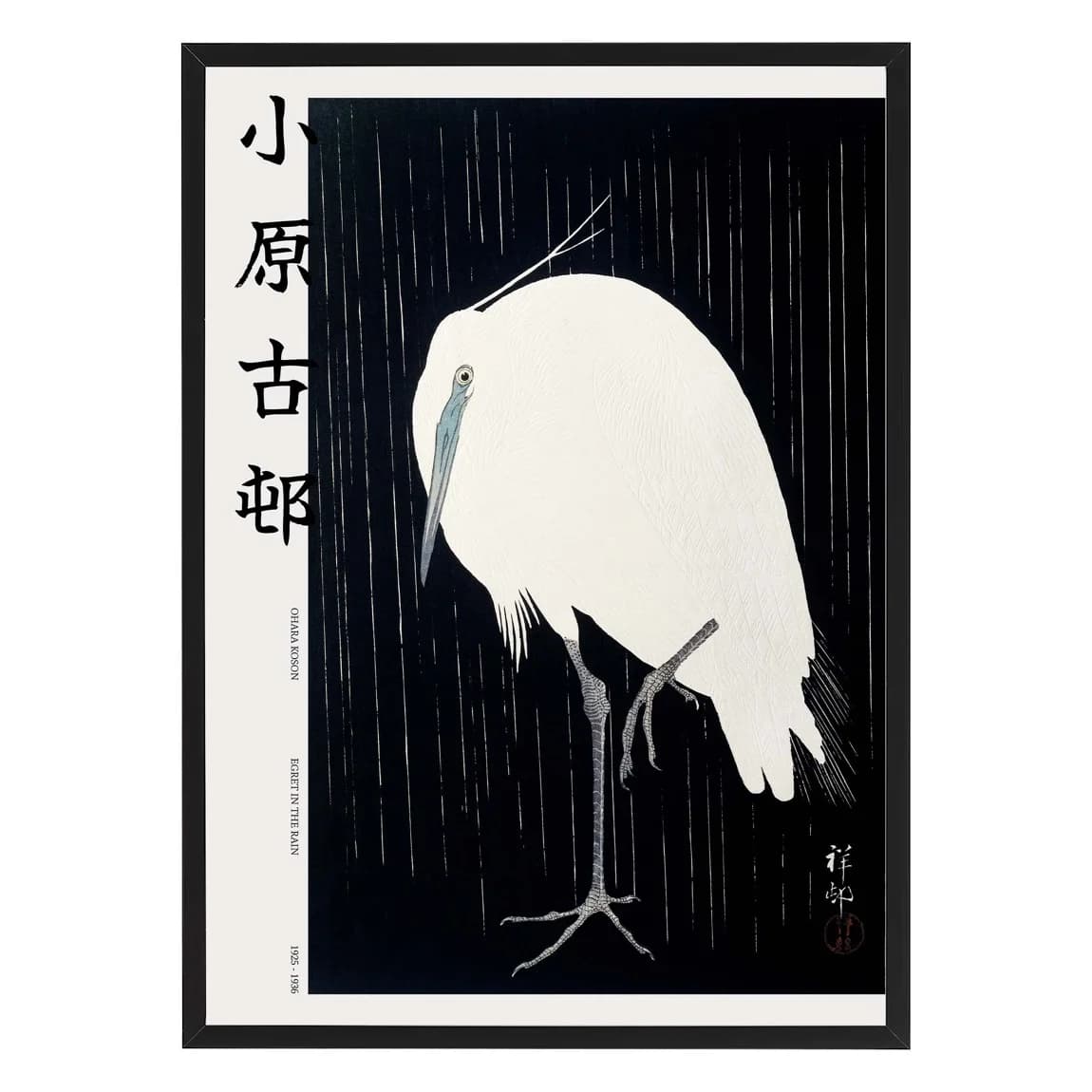 Egret in the rain