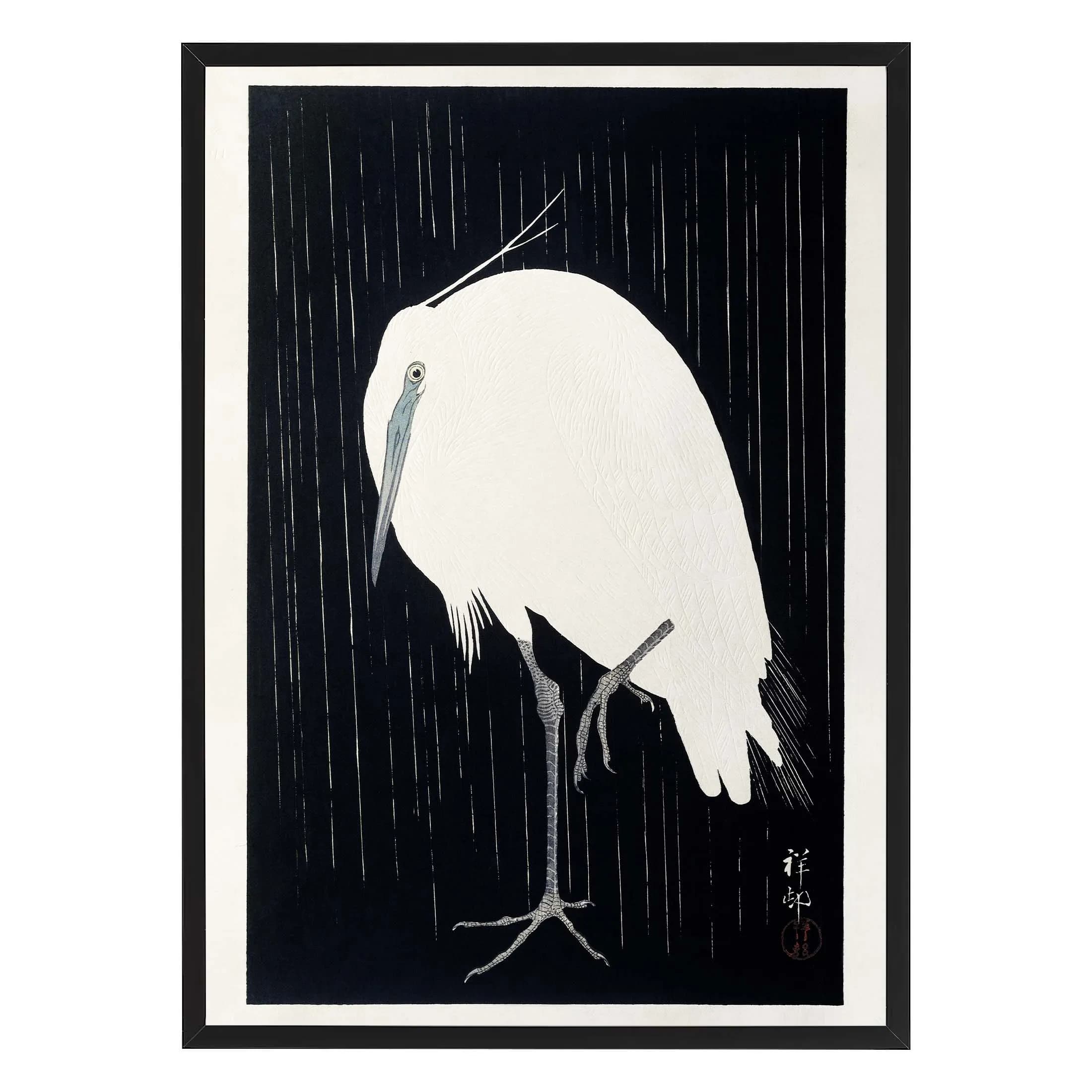Egret in the rain (Reproduction)
