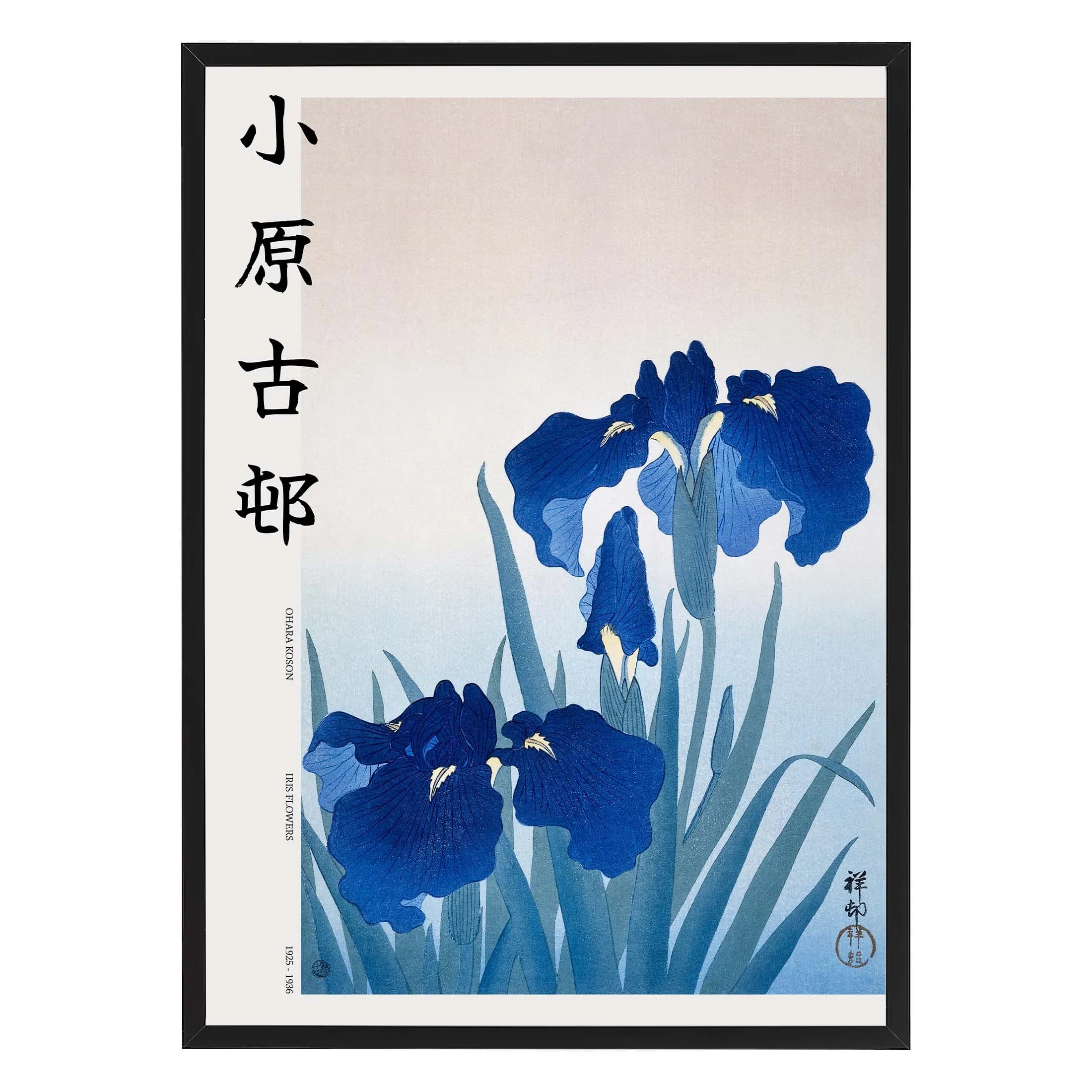 Blue Iris Flowers
