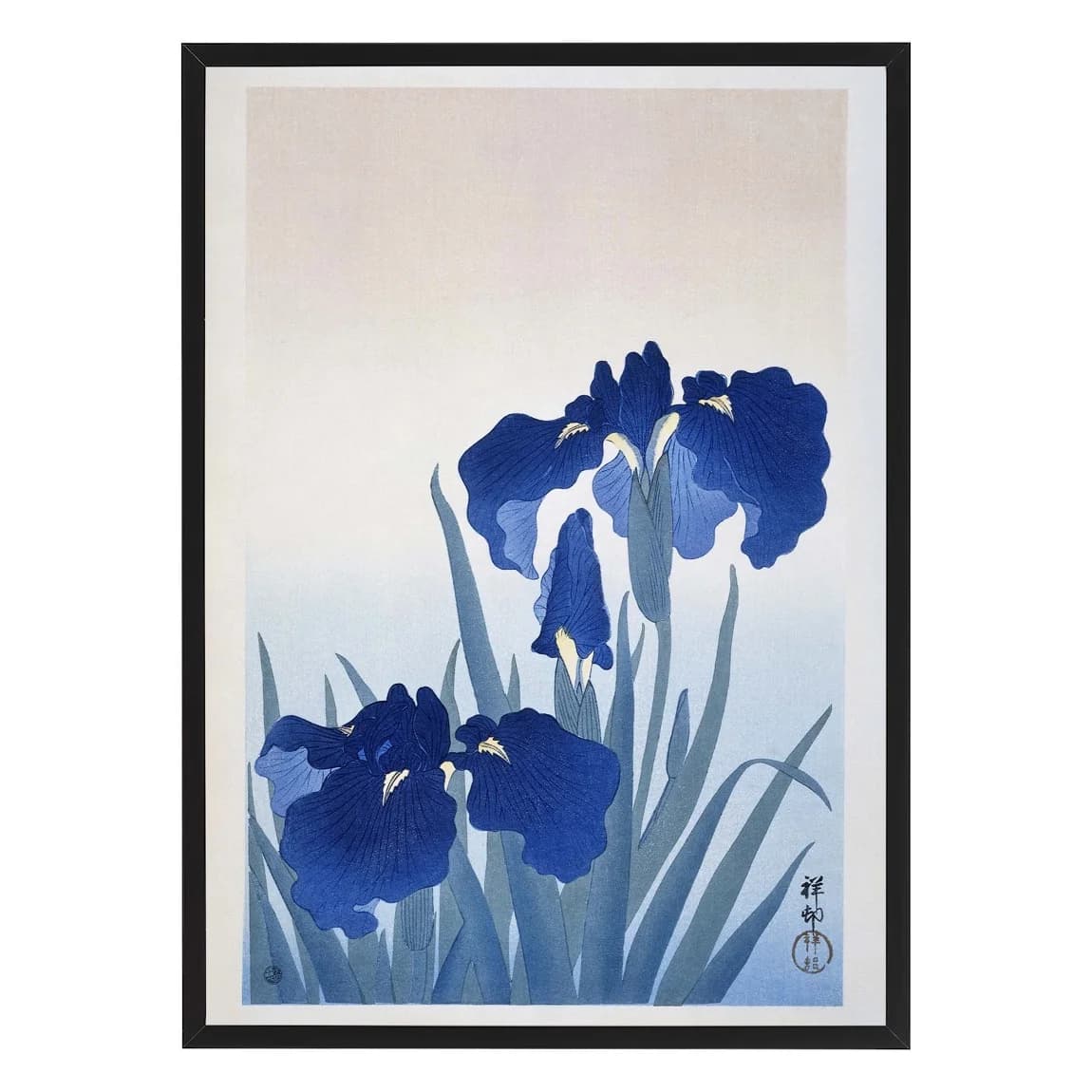Blue Iris Flowers (Reproduction)