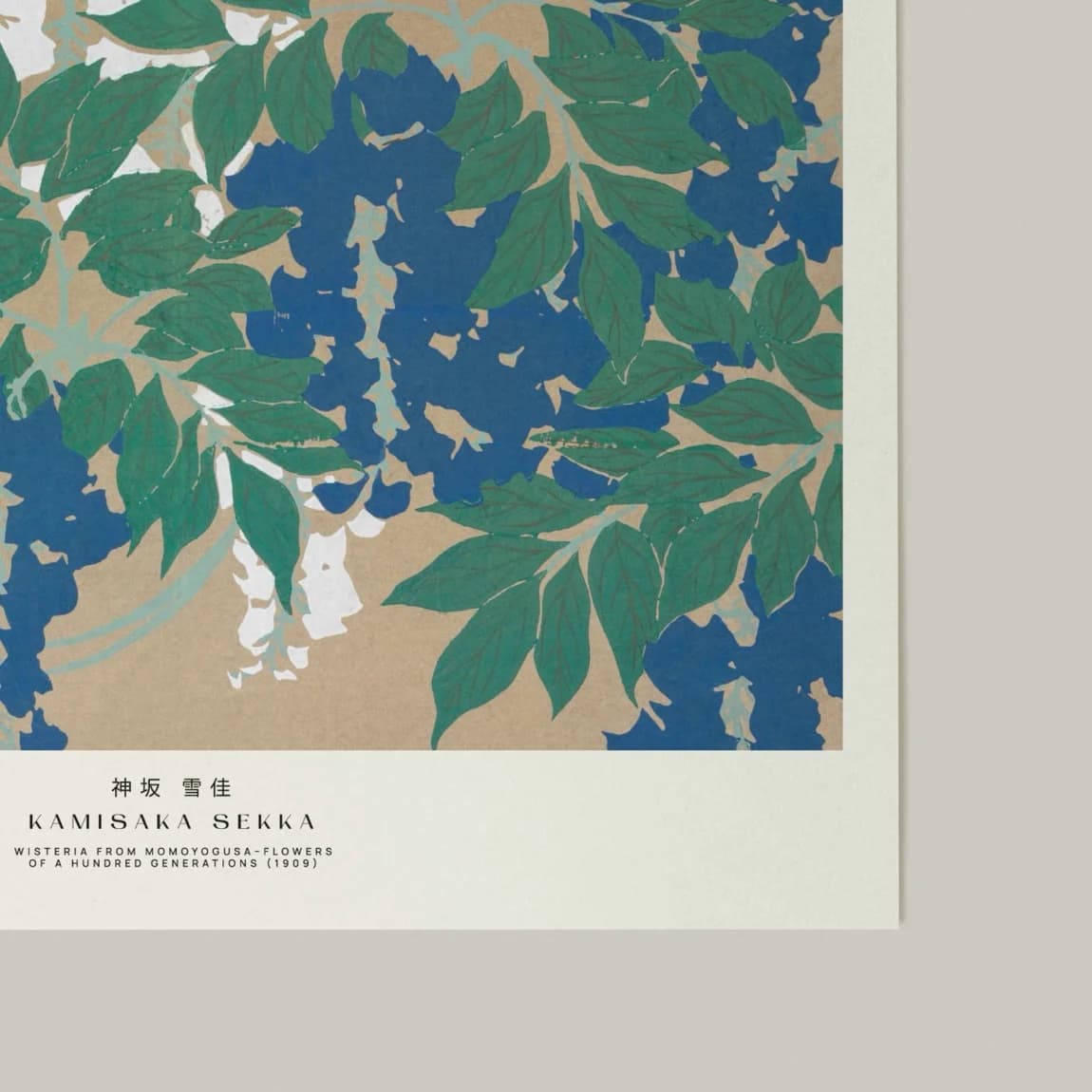 Wisteria from Mokugyozu - product image