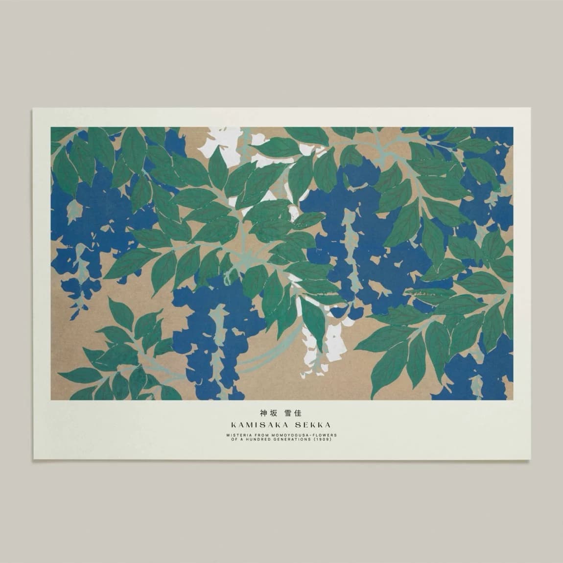 Wisteria from Mokugyozu - product image