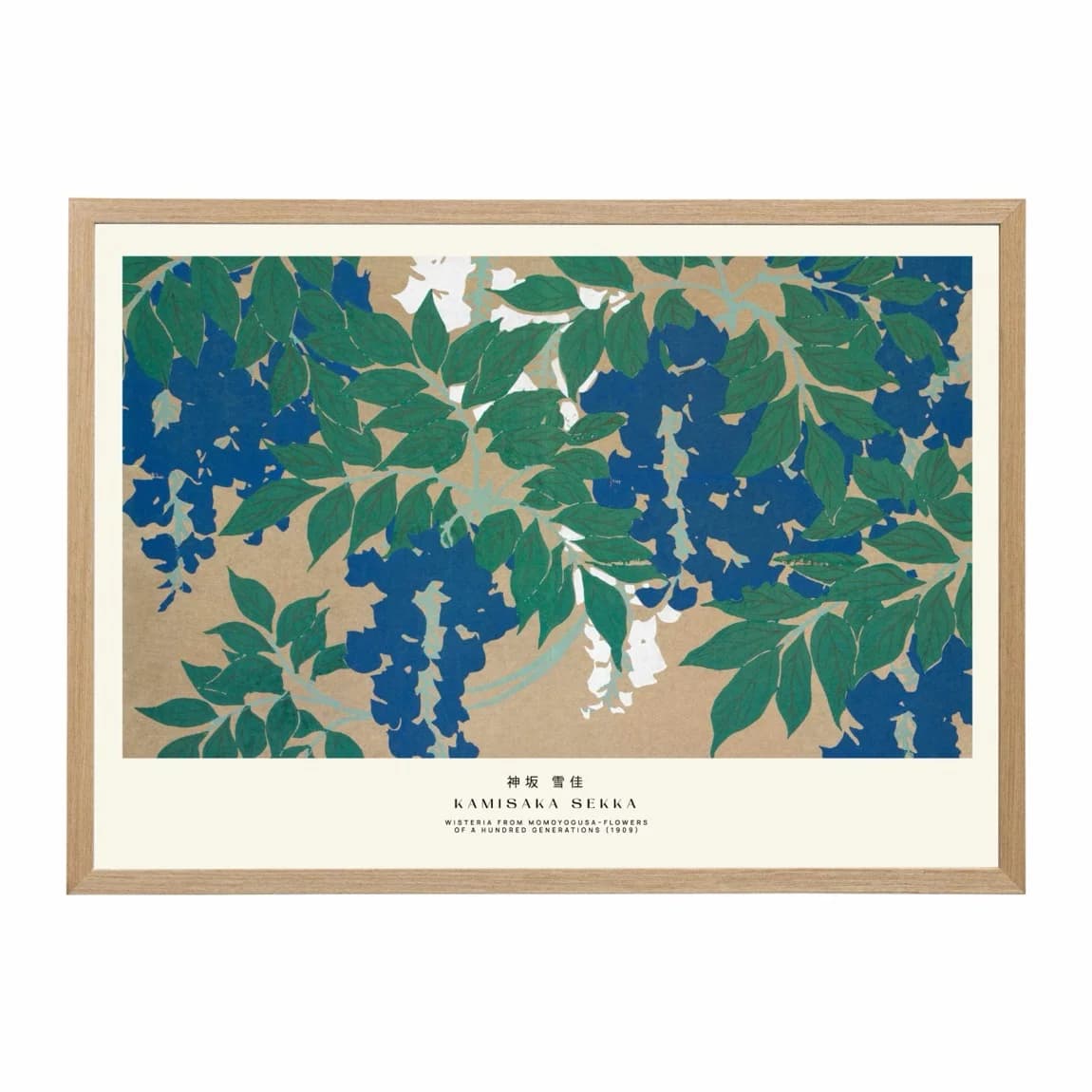 Wisteria from Mokugyozu - product image
