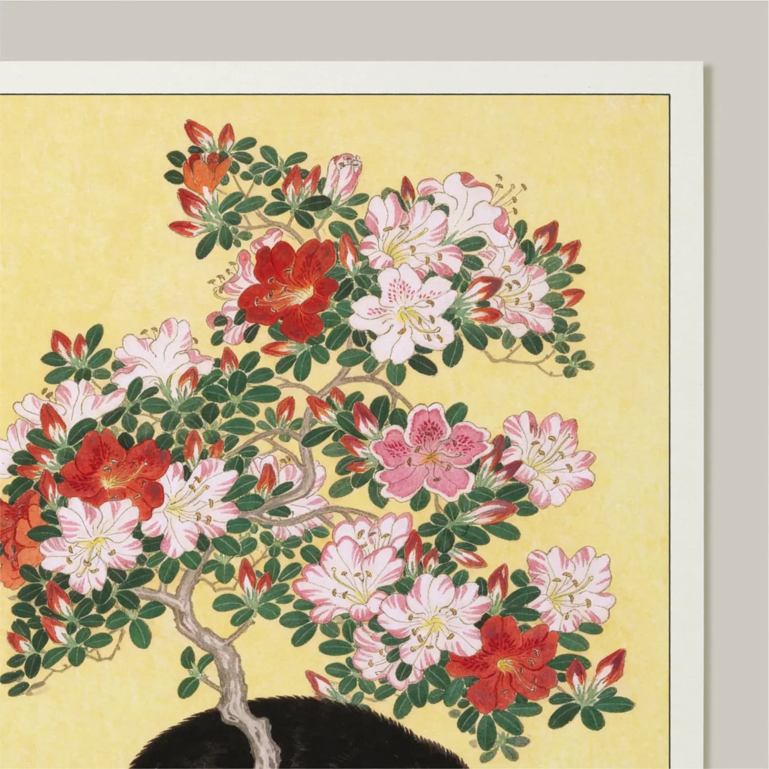 Cat Beneath the Azalea - product image