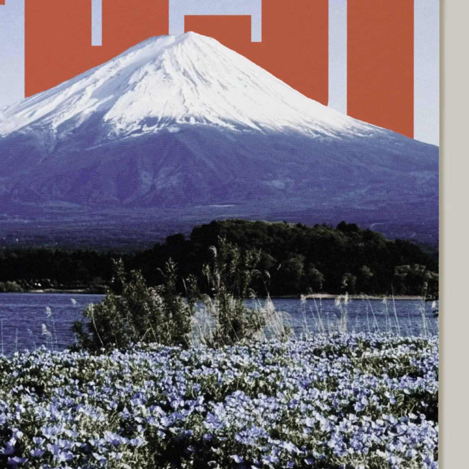 Fuji through the Sea of Flowers - product image