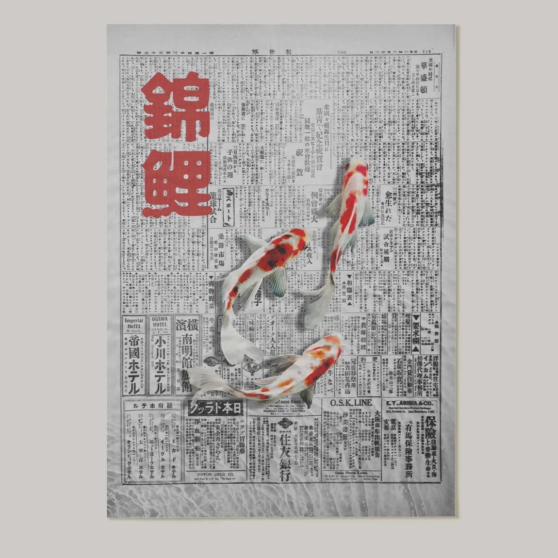 Nishikigoi Newspaper - product image