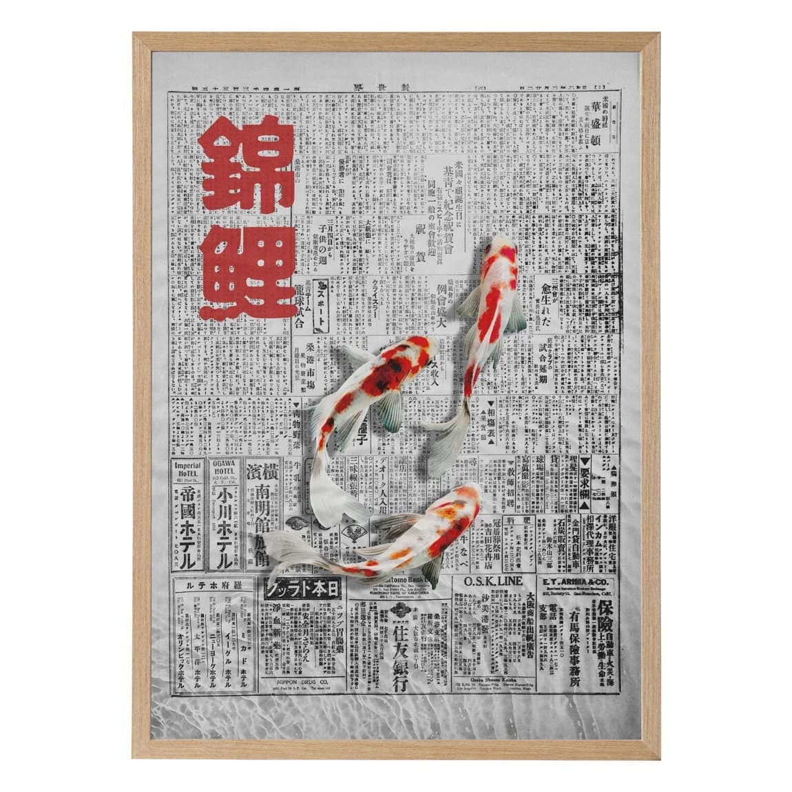 Nishikigoi Newspaper - product image
