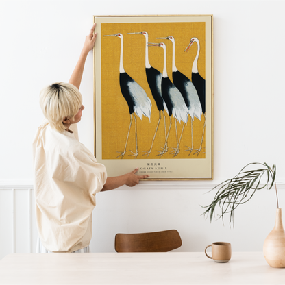 Red-Crowned Cranes