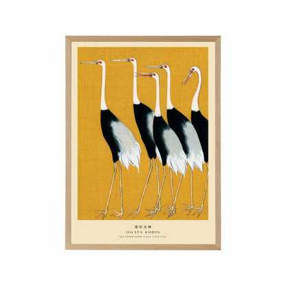 Red-Crowned Cranes
